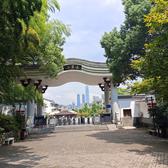 端庄优雅2629头像