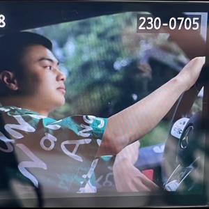 迟到的春天头像