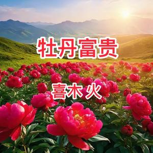 拼搏一生9463头像