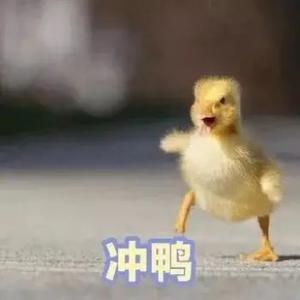 你真有才头像