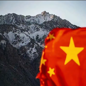 辰华头像