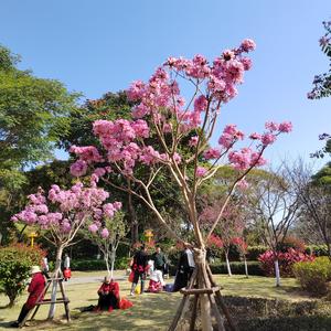 评听娱乐头像