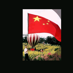 积极的钢琴d头像