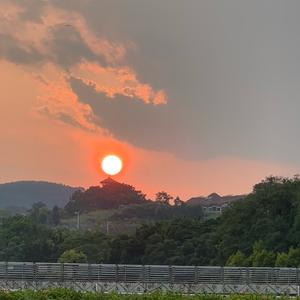 碎碎念头像