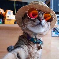 儒雅书签Rs0头像