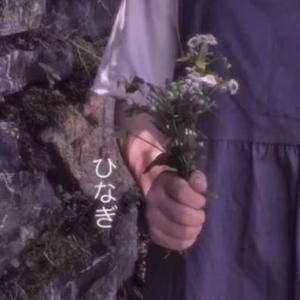 一只沐兮兮头像