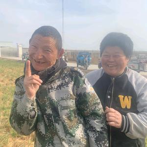金砖哥和星星嫂8号洗发水商贸头像