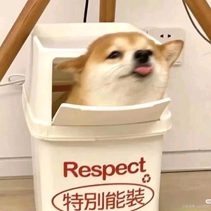 梦漓头像