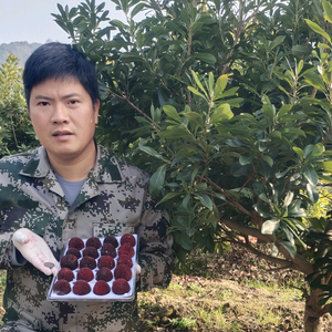 果苗种植基地头像