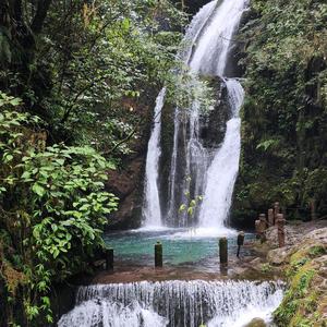 青山绿水215314051头像