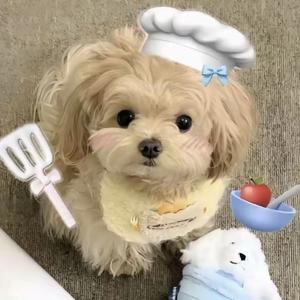 蛇恋99 头像