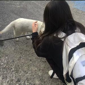 NAROTU北鼻头像