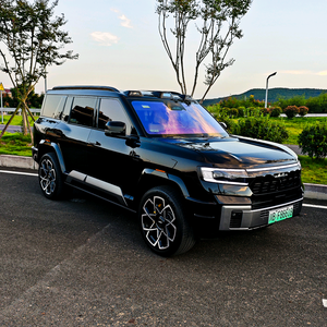 豹8小哥（方程豹腾势仰望宽胎方案）头像