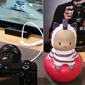 烟雨Edmund头像