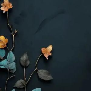 花落子规鸣头像