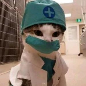 猫女王9999头像