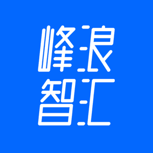 峰浪智汇头像