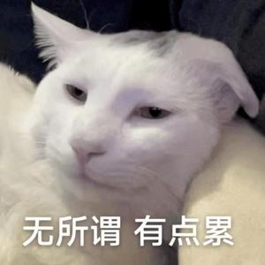 淡定星星头像