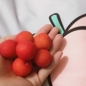 呆猫不会吐泡泡头像
