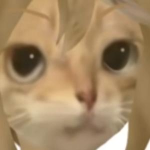 葡萄喵头像