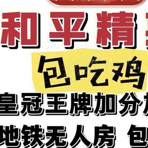 小嫂子人机房头像