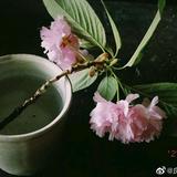 一汪清水1022头像
