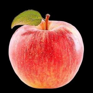 一只apple头像