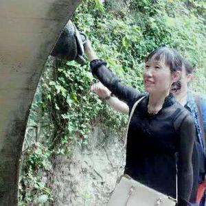 天天自媒体头像