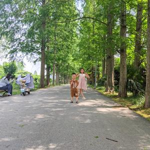 绿云雅宝宝1头像
