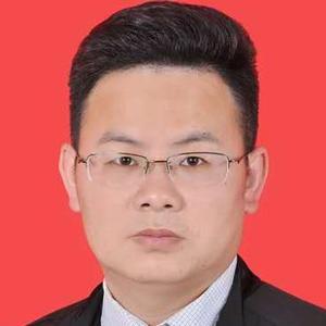 王汉政民商执行律师头像