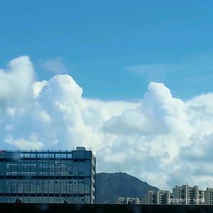 阳光心理学头像