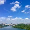 东莞篮校头像