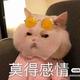 骏嘉乐汽车疑难杂症头像