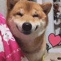 潮汕美食小小生头像