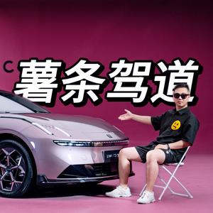 薯条驾道头像