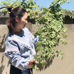 李红英lhy头像