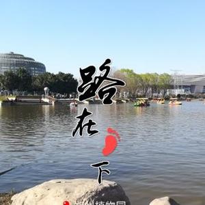 鹏行萬里头像
