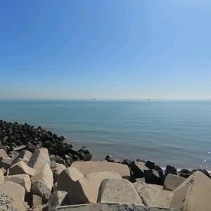 阳光体育头像