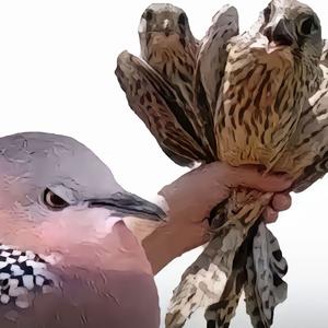 悠闲火车爱生活头像