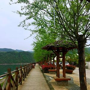 静思的视角头像