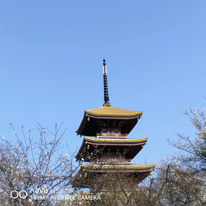 土木星球头像