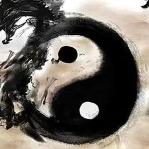 中医康康头像