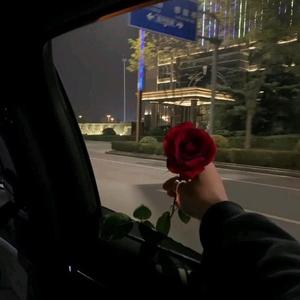 狗蛋耳头像