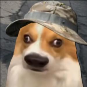 哈基鼠头像