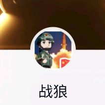 战狼队长4z4w头像