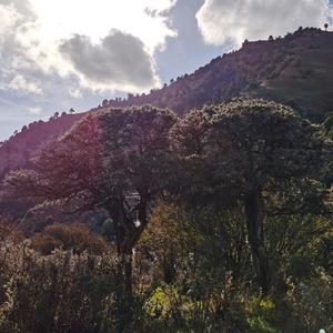 祁连牛心山农家山庄头像