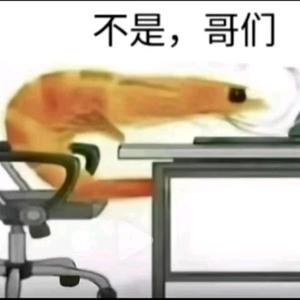 不是哥们头像