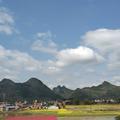 勇往直前lao谭1头像