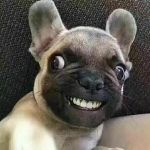 又双叒叕Jesir头像