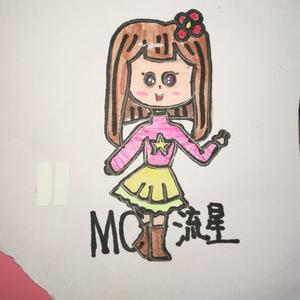 MC里的流星头像